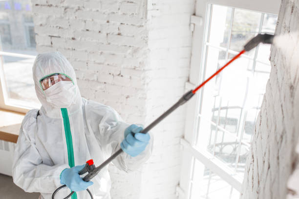 Best Flood restoration services  in Benton, KY